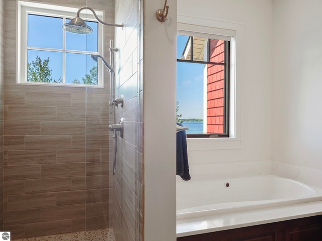 bathroom with plenty of natural light and shower with separate bathtub