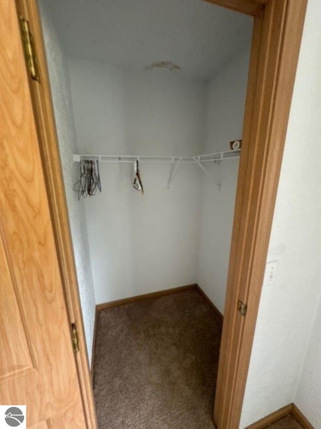 walk in closet featuring carpet flooring