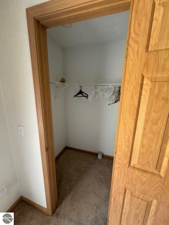 spacious closet with carpet