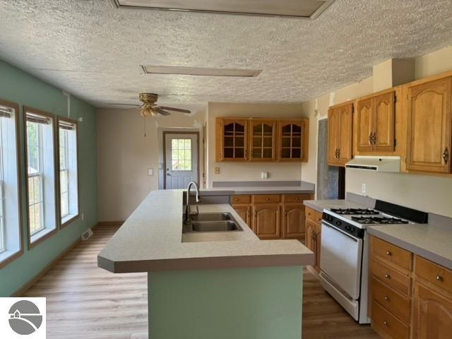 kitchen with sink, an island with sink, range with gas stovetop, wood-type flooring, and ceiling fan