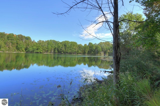 view of water feature featuring a wooded view