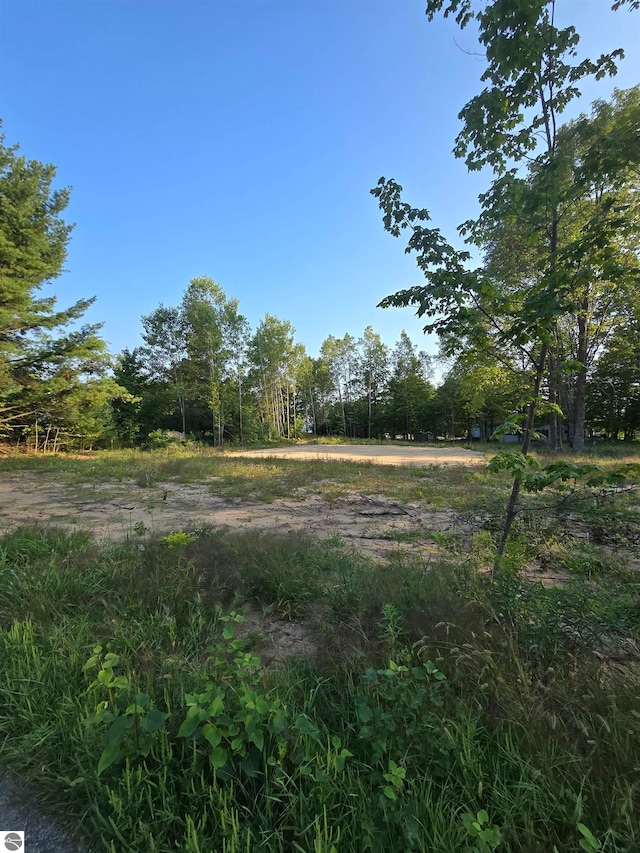 Listing photo 2 for LOT261 Ottawa Trl, Buckley MI 49620