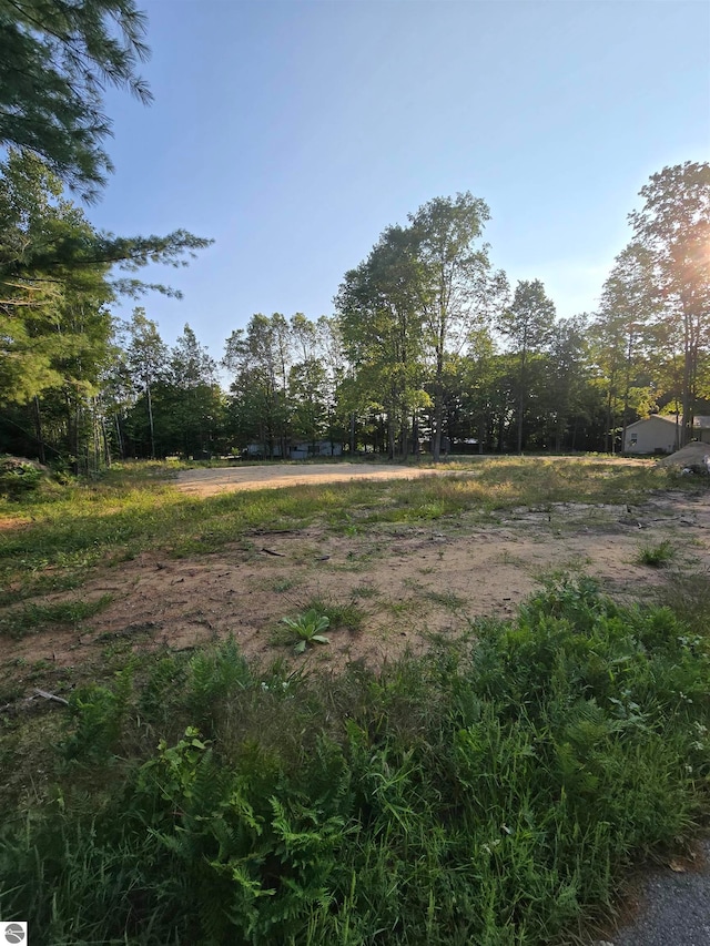 Listing photo 3 for LOT261 Ottawa Trl, Buckley MI 49620