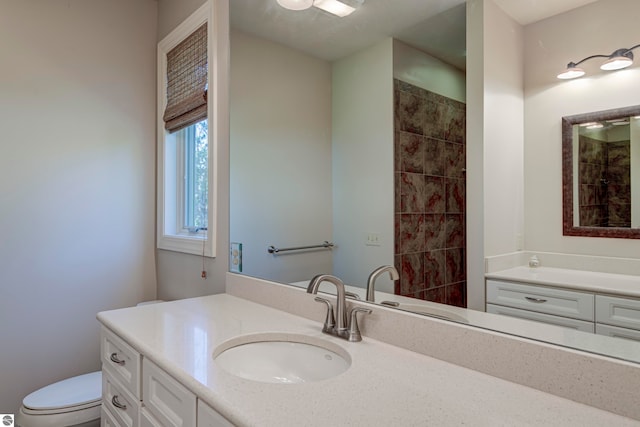 bathroom with toilet and vanity