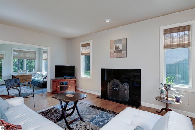 living room featuring a wealth of natural light and hardwood / wood-style floors