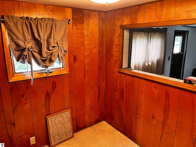 interior space with wooden walls and carpet