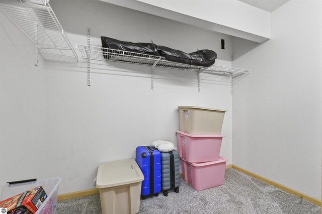 7504 W Dakota Trl, Lake City, MI 49663 - view of storage