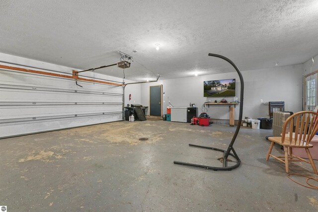7504 W Dakota Trl, Lake City, MI 49663 - garage with a garage door opener