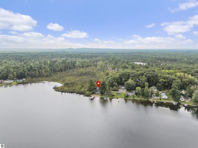 7504 W Dakota Trl, Lake City, MI 49663 - birds eye view of property featuring a wooded view and a water view