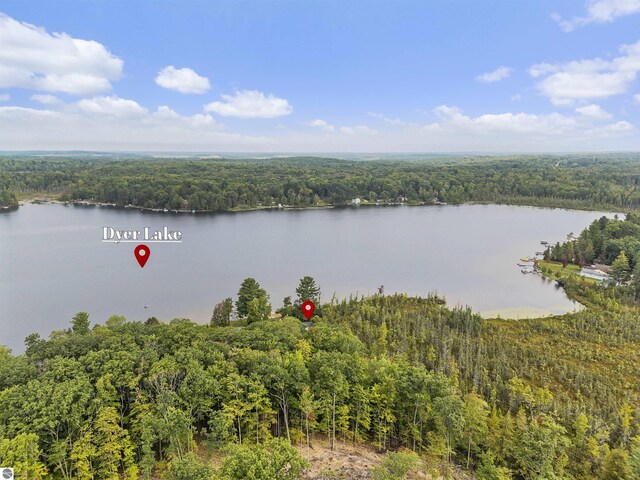 7504 W Dakota Trl, Lake City, MI 49663 - water view featuring a wooded view