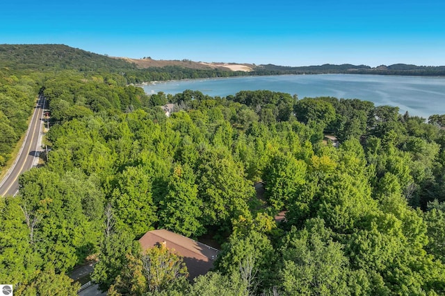 bird's eye view with a water view and a view of trees