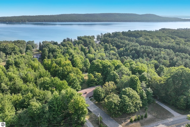 bird's eye view with a view of trees and a water and mountain view