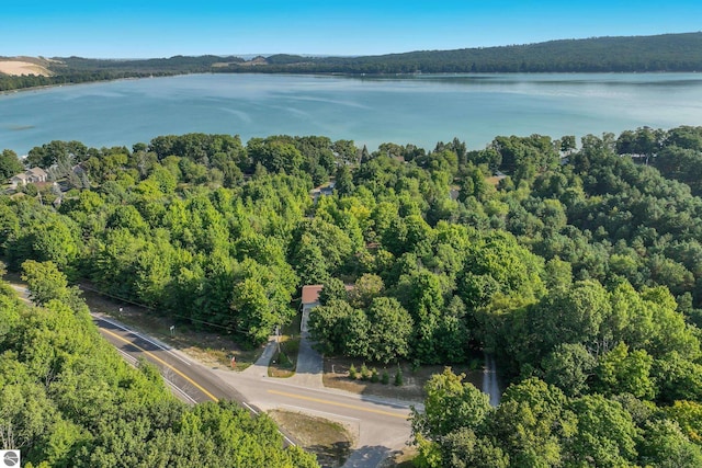 aerial view featuring a water view and a view of trees