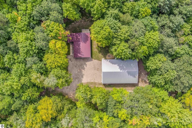 4949 N M-33, Rose City, MI 48654 - birds eye view of property featuring a view of trees