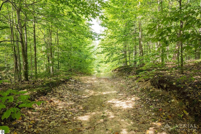 4949 N M-33, Rose City, MI 48654 - view of local wilderness with a wooded view