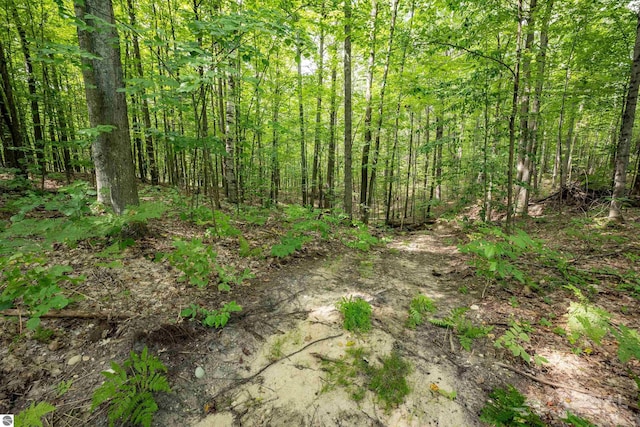 4949 N M-33, Rose City, MI 48654 - view of nature featuring a wooded view