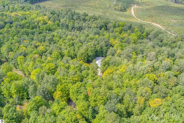 4949 N M-33, Rose City, MI 48654 - drone / aerial view with a view of trees