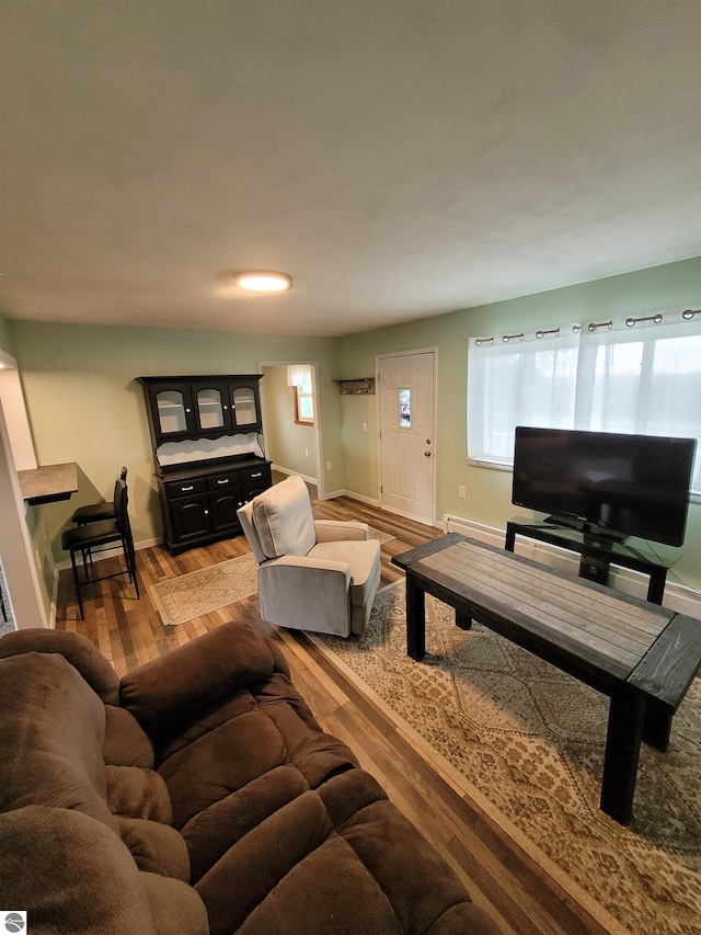 living room featuring hardwood / wood-style flooring