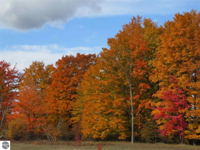 view of nature