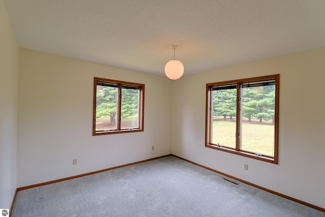 unfurnished room featuring a textured ceiling, light carpet, and a healthy amount of sunlight