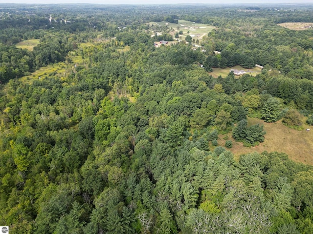 aerial view with a view of trees