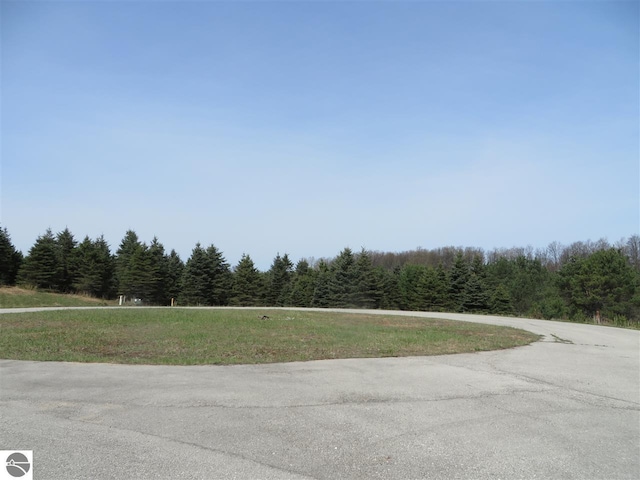 4 Spruce Hollow Trce, Fife Lake MI, 49633 land for sale