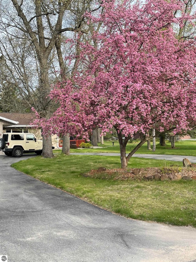 exterior space with a front yard