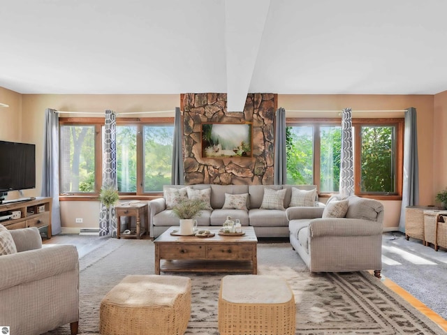 living room with plenty of natural light