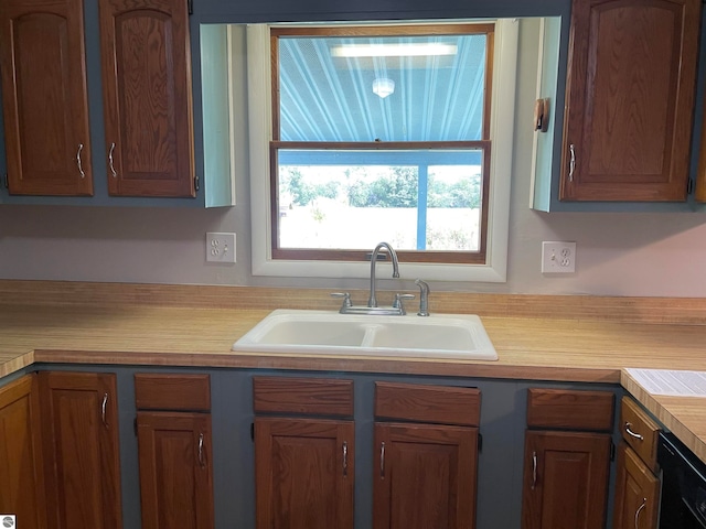 kitchen with sink and dishwasher