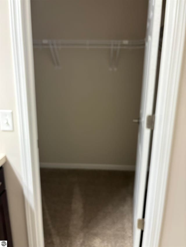 walk in closet featuring carpet flooring