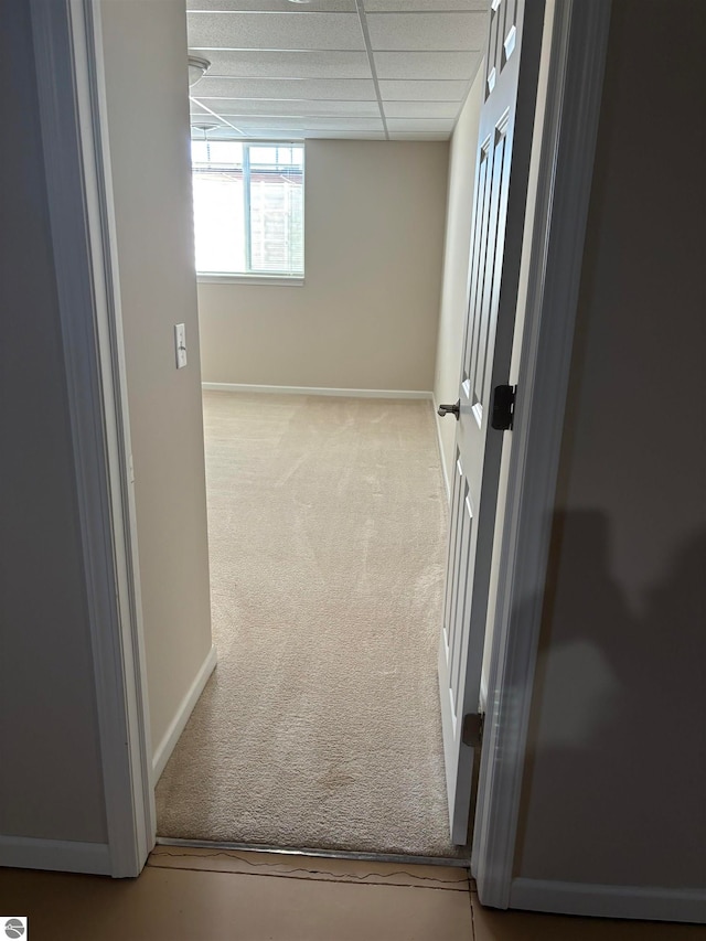 corridor featuring a paneled ceiling and light carpet