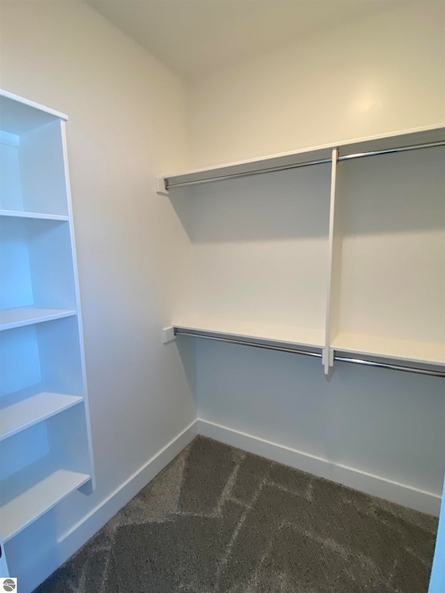 spacious closet featuring dark carpet