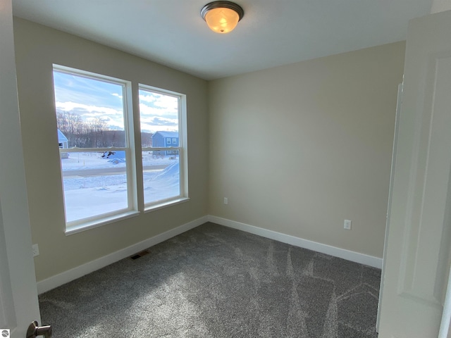 view of carpeted spare room