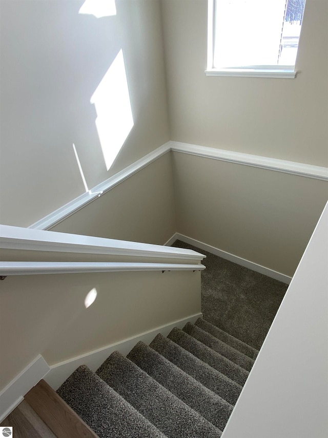 staircase featuring carpet flooring