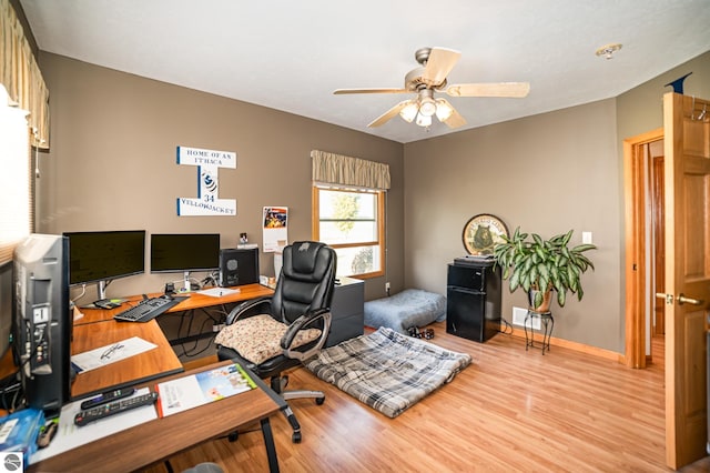 office featuring light hardwood / wood-style flooring and ceiling fan