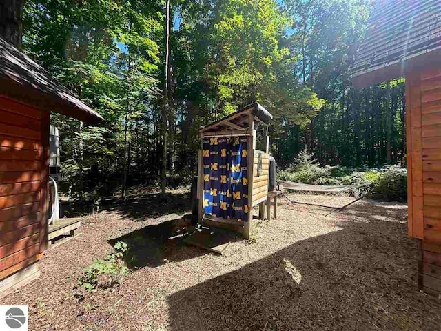 view of jungle gym