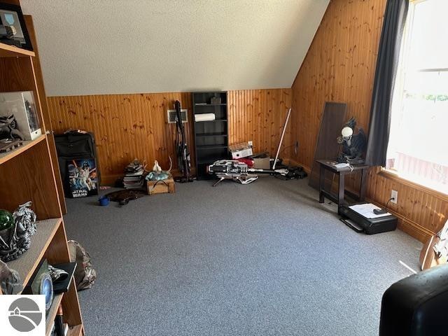 additional living space featuring a textured ceiling, wood walls, and carpet