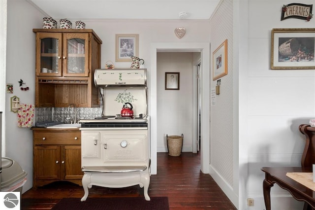 interior space with dark wood-type flooring and sink