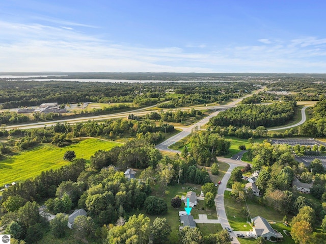 9090 Windsong Ln, Cadillac, MI 49601 - aerial overview of property's location with a tree filled landscape
