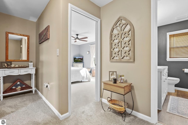 corridor with light colored carpet