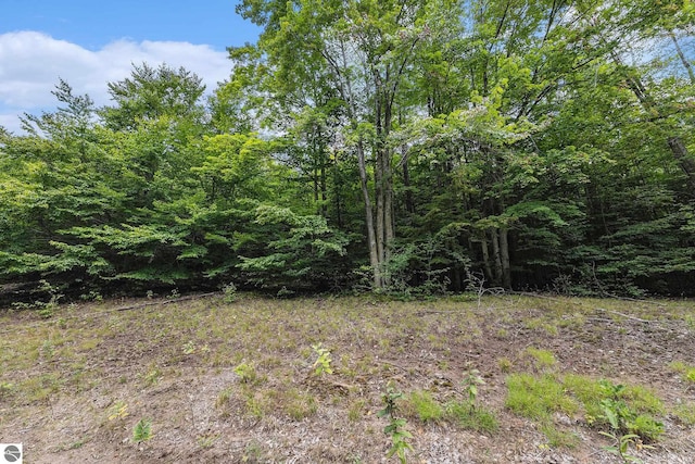 LOT12 Mountain Woods Dr, Thompsonville MI, 49683 land for sale