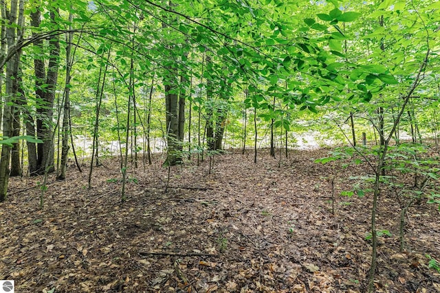 Listing photo 3 for LOT12 Mountain Woods Dr, Thompsonville MI 49683