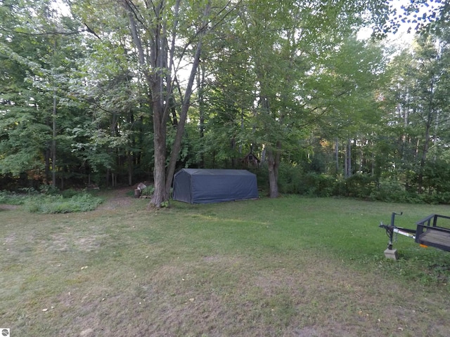 view of yard featuring a storage shed