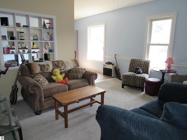 carpeted living room with a wealth of natural light