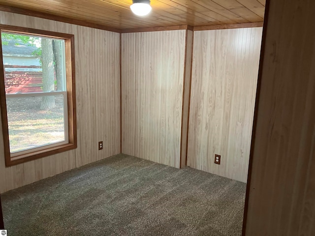 spare room with wooden ceiling, a wealth of natural light, and carpet