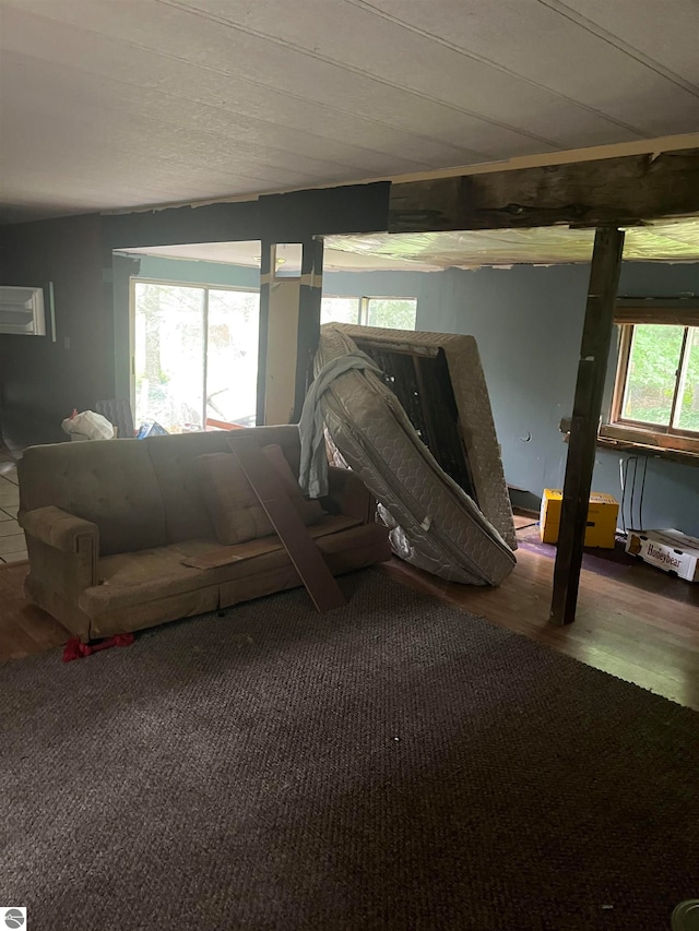 living room with hardwood / wood-style flooring and a healthy amount of sunlight