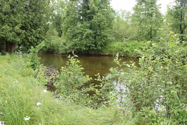 view of water feature