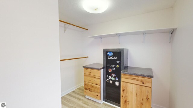 entryway with light hardwood / wood-style floors