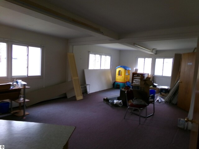 misc room with beamed ceiling, a wealth of natural light, and carpet flooring