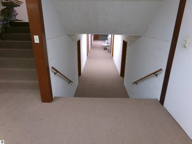 hallway with carpet floors